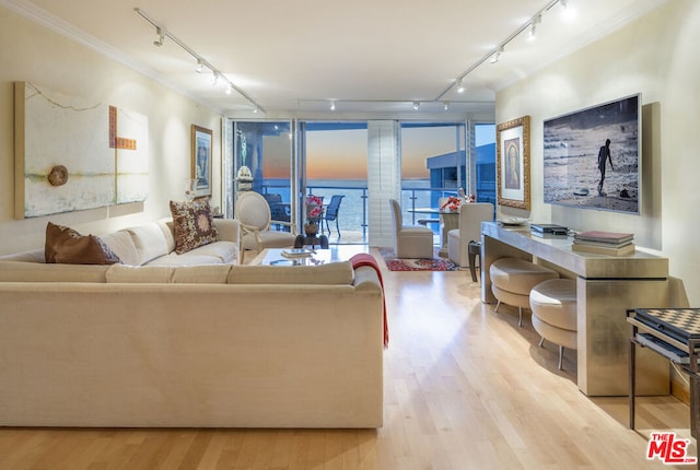 living room featuring floor to ceiling windows, light hardwood / wood-style flooring, ornamental molding, and rail lighting