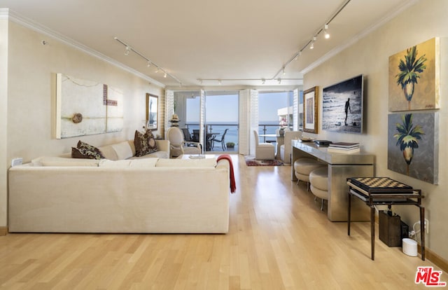 living room with crown molding, track lighting, and light hardwood / wood-style floors