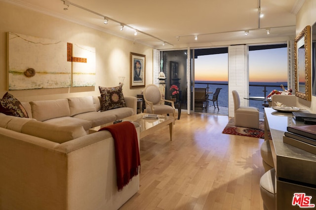 living room featuring a water view, crown molding, light hardwood / wood-style flooring, and rail lighting