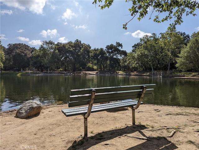 view of home's community with a water view