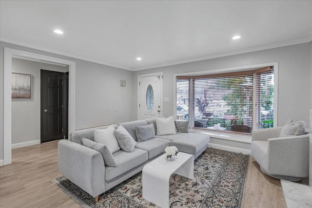 living room with crown molding and light hardwood / wood-style flooring