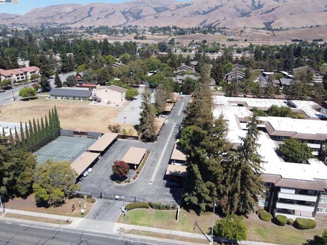 birds eye view of property featuring a mountain view