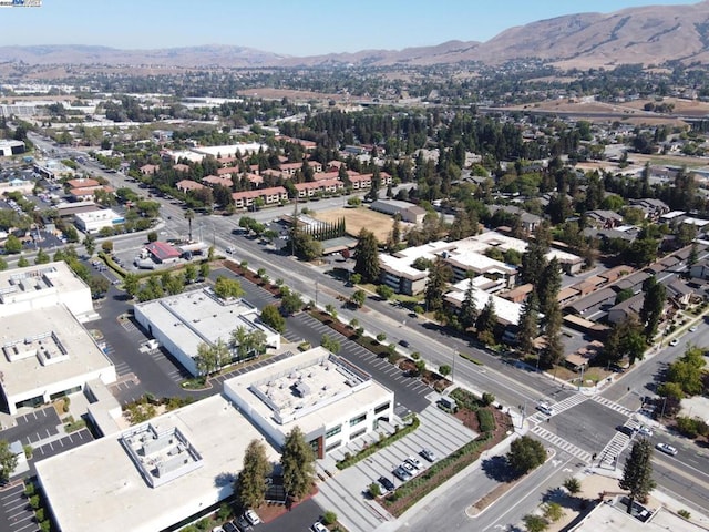 birds eye view of property featuring a mountain view