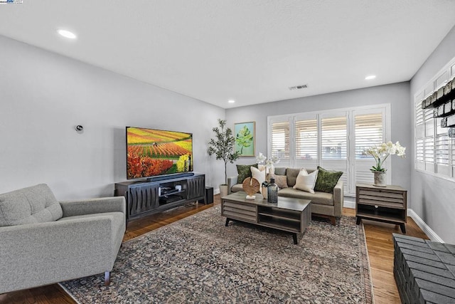 living room featuring wood-type flooring