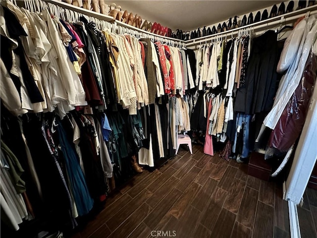 view of walk in closet