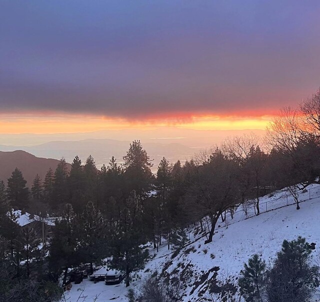 view of snow covered land with a forest view and a mountain view