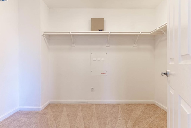 spacious closet featuring light colored carpet