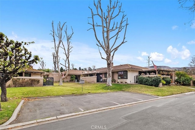 ranch-style home with a front yard