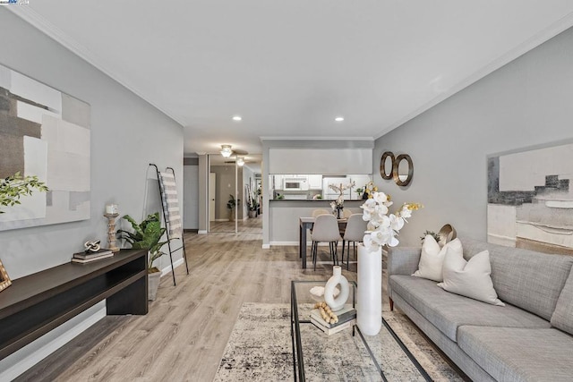 living room featuring crown molding and light hardwood / wood-style floors