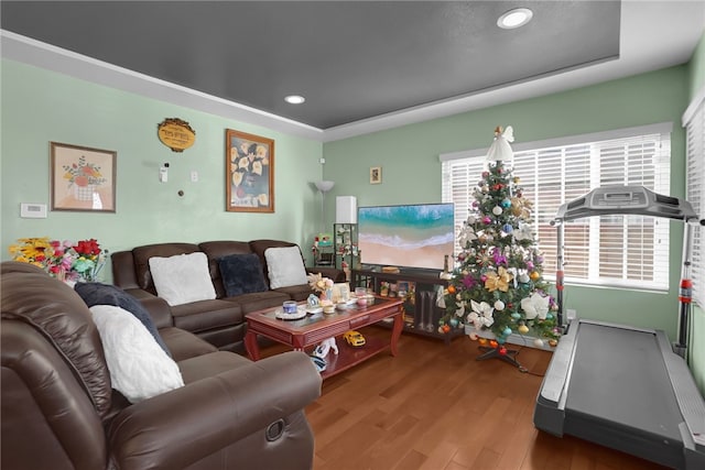 living room with wood-type flooring