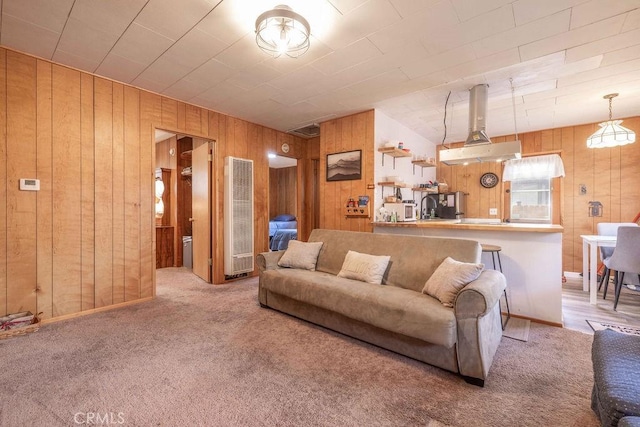 living room featuring carpet floors, sink, and wood walls