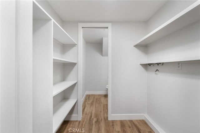 spacious closet featuring wood-type flooring