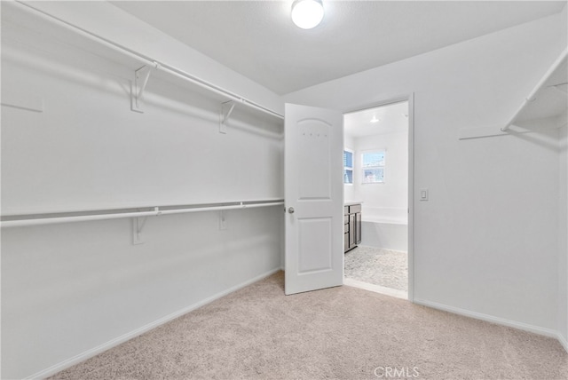 6958 Clemson St, Chino, CA 91710 - photo 16