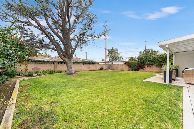 view of yard featuring a patio area