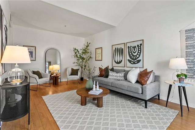 living room with wood-type flooring