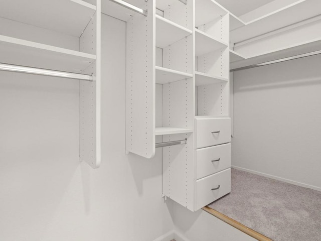 spacious closet featuring carpet