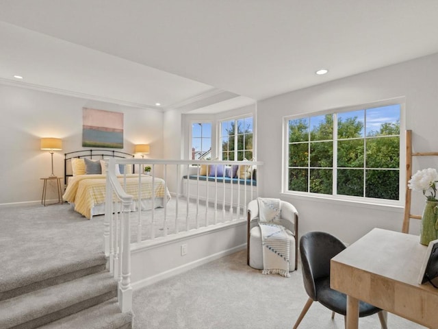 carpeted bedroom with crown molding