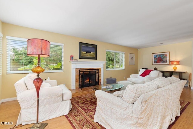 living room featuring light hardwood / wood-style floors