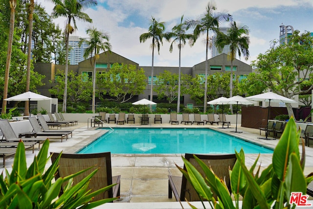 view of pool with a patio area