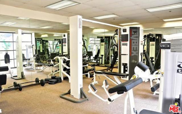 exercise room with a paneled ceiling