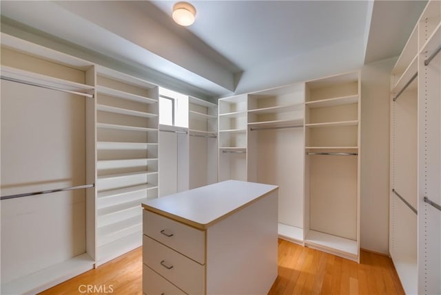 walk in closet with light hardwood / wood-style floors