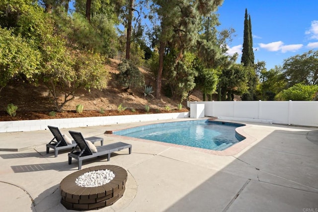 view of swimming pool with a patio and a fire pit