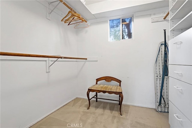 spacious closet featuring light colored carpet