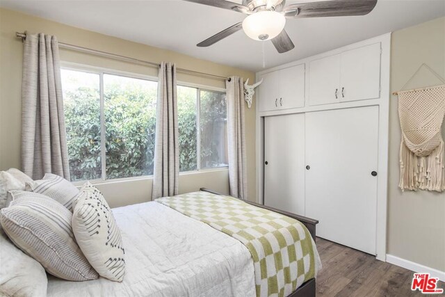 bedroom with ceiling fan, dark hardwood / wood-style floors, and a closet