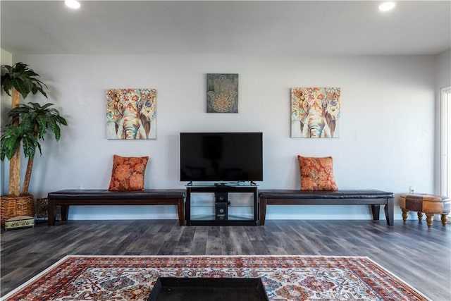 living room with hardwood / wood-style flooring