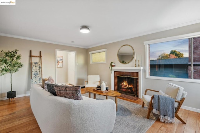 living room with crown molding, a fireplace, and hardwood / wood-style floors