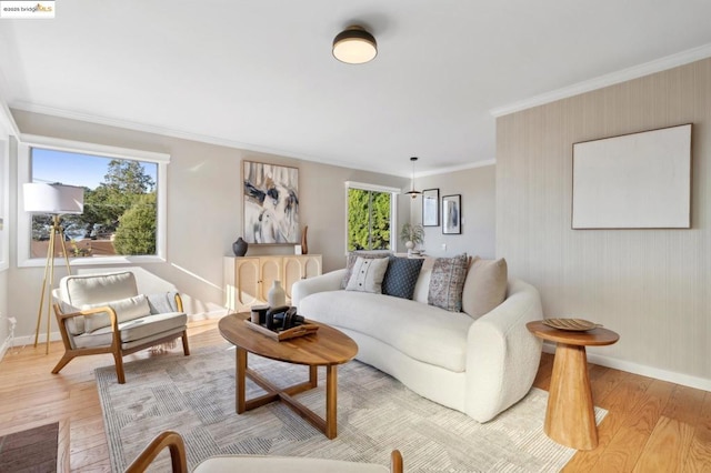 living room featuring crown molding, light hardwood / wood-style flooring, and plenty of natural light