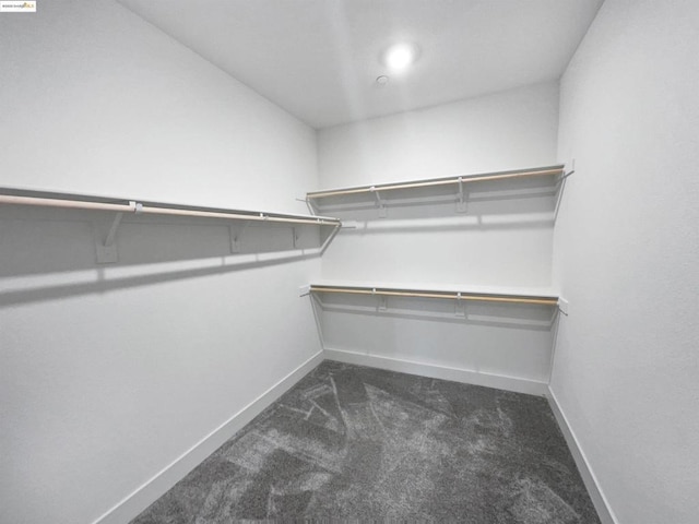 spacious closet with dark colored carpet