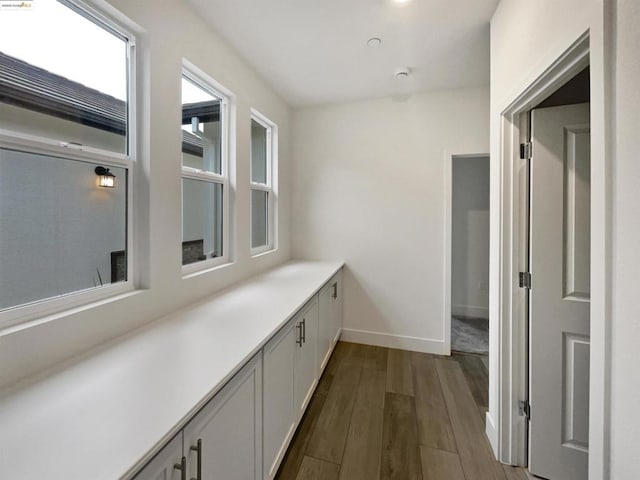 hallway featuring wood-type flooring