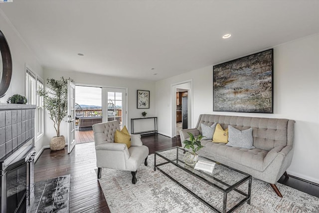 living room featuring dark hardwood / wood-style floors