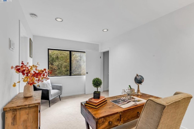 living area featuring light colored carpet