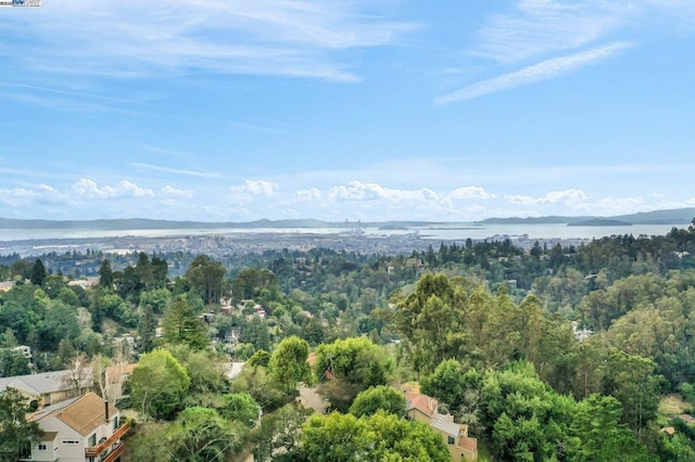 drone / aerial view featuring a water and mountain view