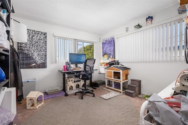 home office with carpet floors and a textured ceiling