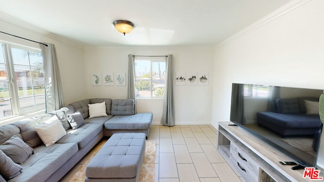 living room featuring crown molding and light hardwood / wood-style flooring