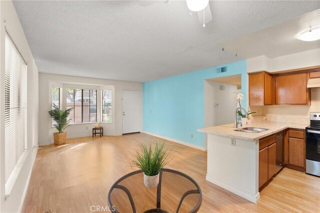 kitchen featuring sink, light hardwood / wood-style flooring, and kitchen peninsula