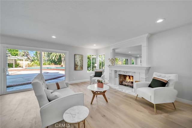 living room with a premium fireplace and light wood-type flooring