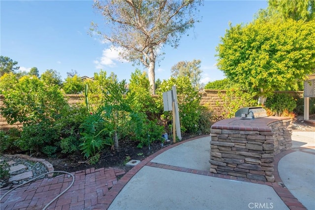 surrounding community featuring an outdoor kitchen and a patio area