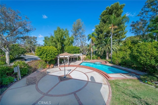 view of pool with a patio area