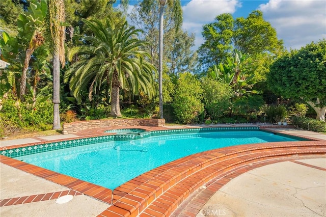 view of swimming pool with an in ground hot tub and a patio