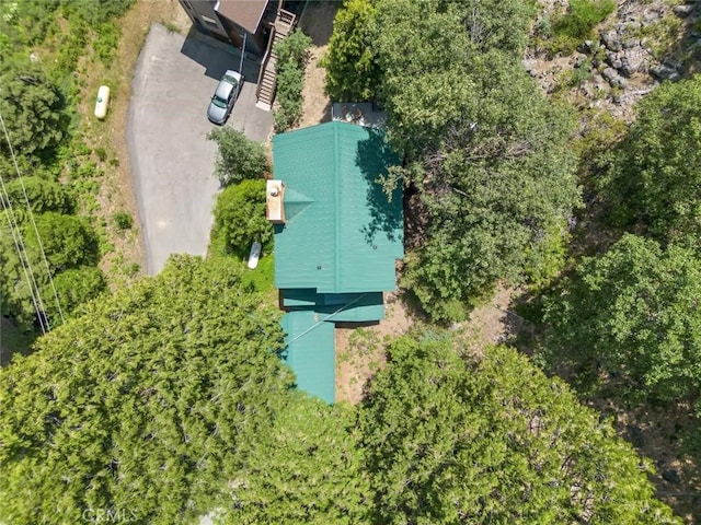 1153 Silvertip Ln, Fish Camp, CA 93623 - bird's eye view