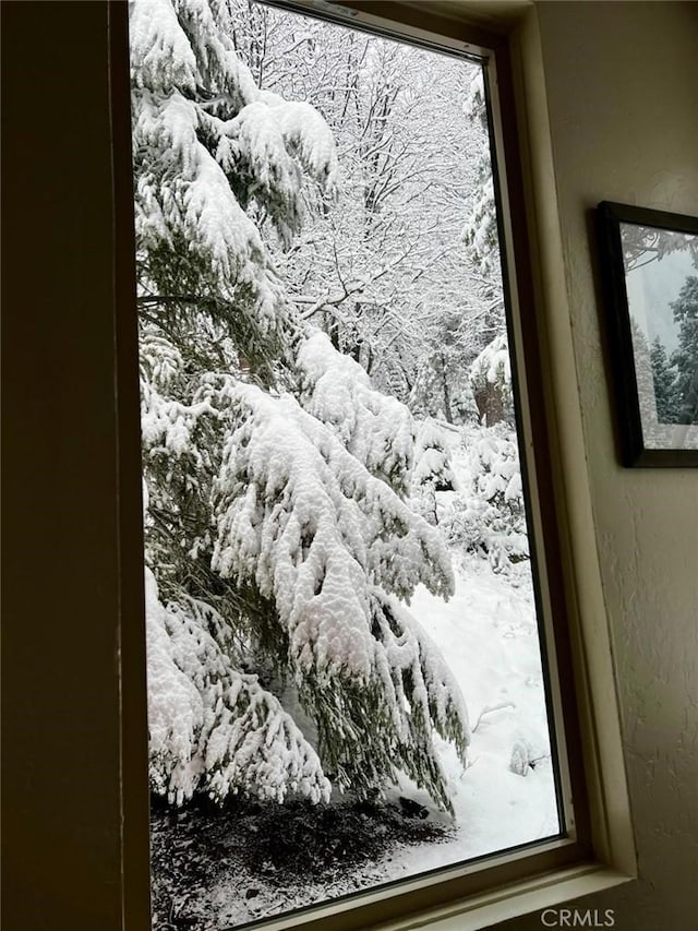 1153 Silvertip Ln, Fish Camp, CA 93623 - view of room details