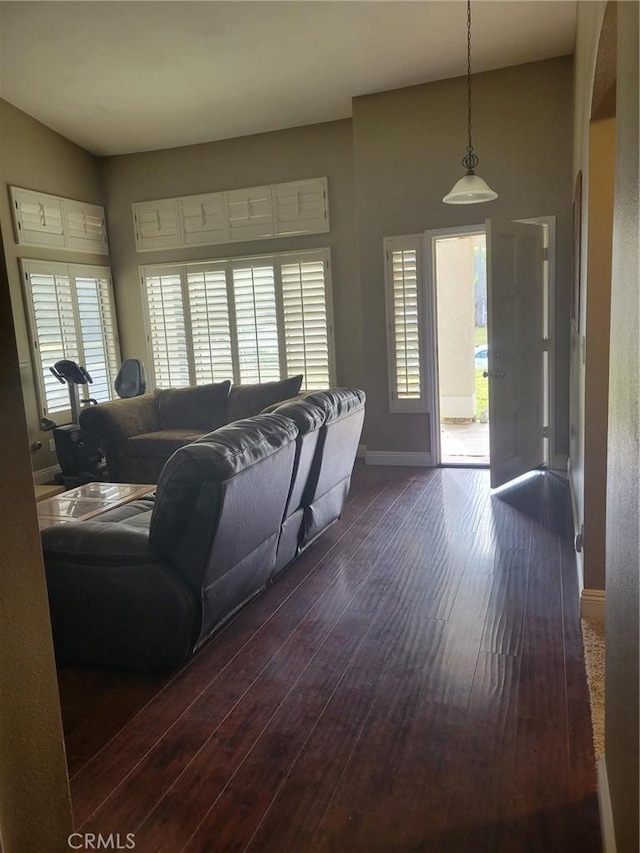 living room featuring dark hardwood / wood-style flooring