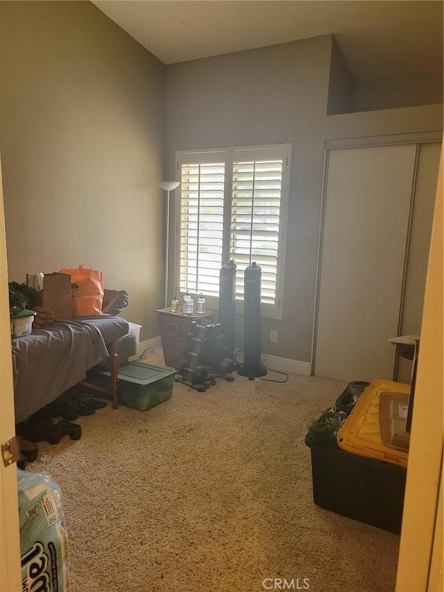 bedroom with carpet floors