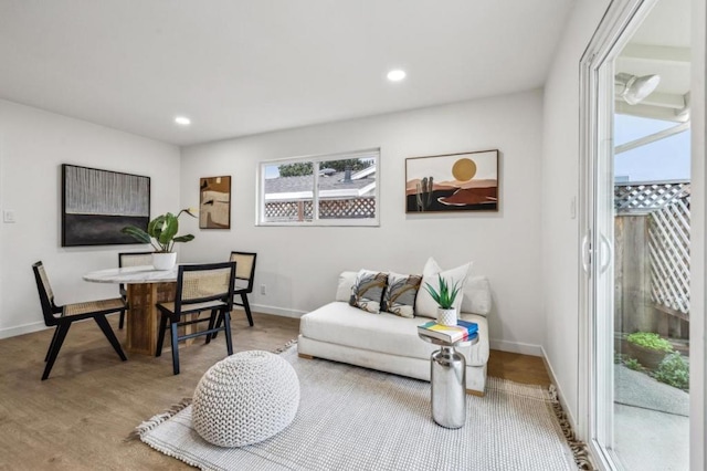 living room with hardwood / wood-style flooring