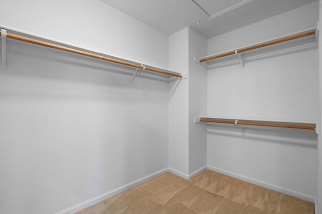 walk in closet with light colored carpet