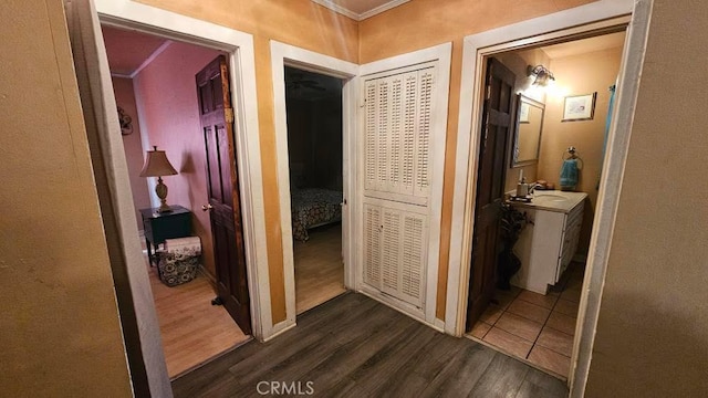 corridor with a sink and dark wood-type flooring